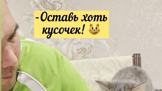 Так курочки хочется, а папа жмотяра 😼😿 Столько эмоций на этой мордашке 😀