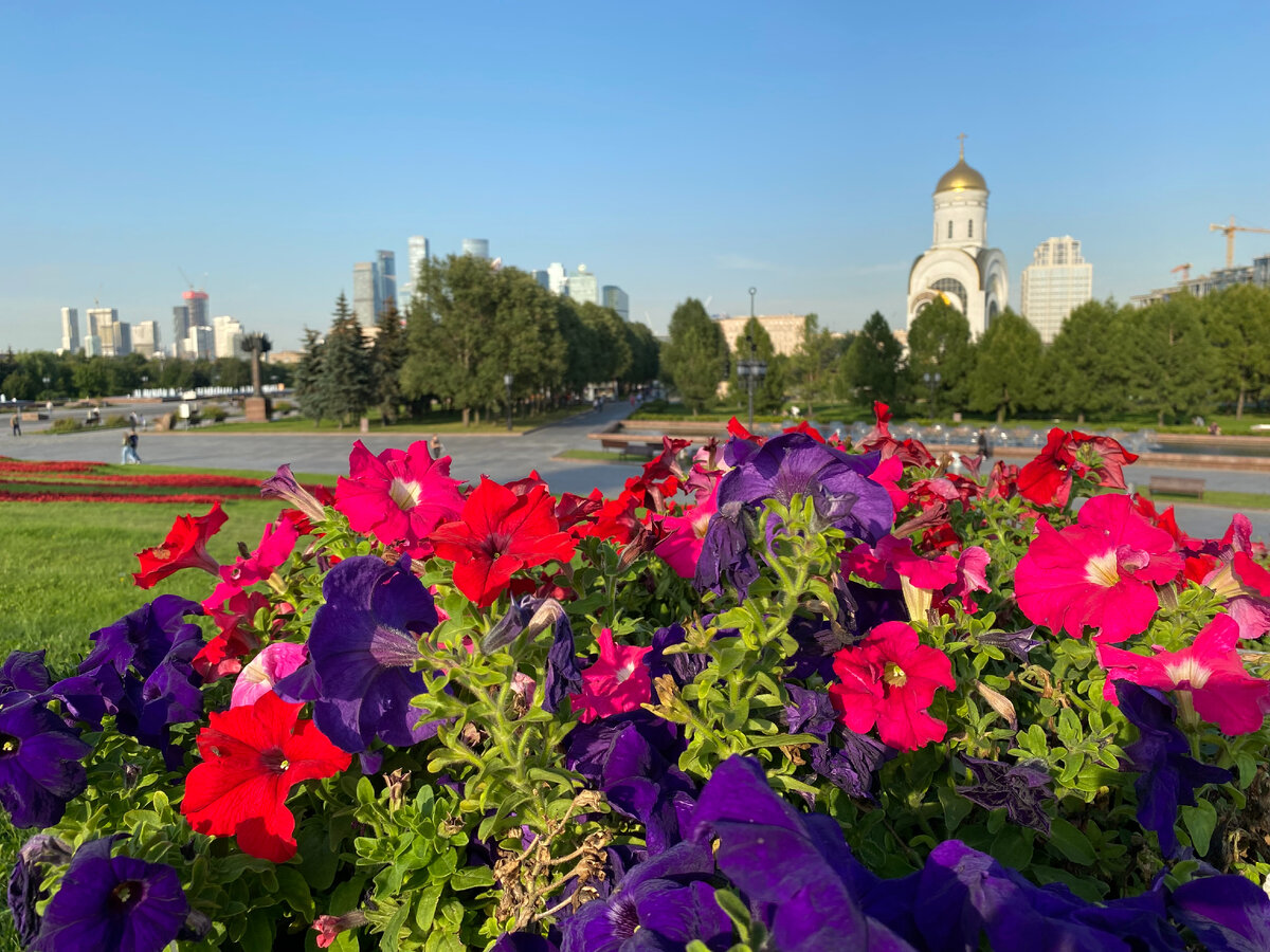 Поклонная гора, август 2023 года... Фото автора