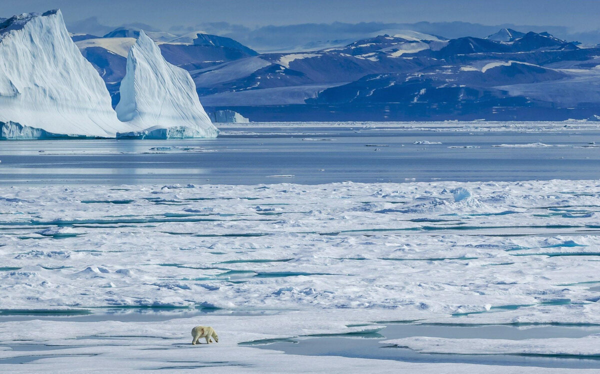 Северный полюс обладает множеством особенностей, и люди уже на протяжении нескольких веков пытаются изучить его. Однако суровый климат всячески препятствует этому.