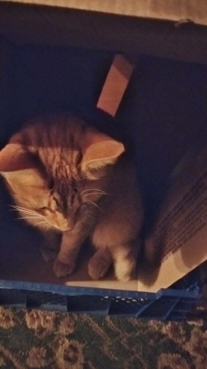 Личное  фото. 
