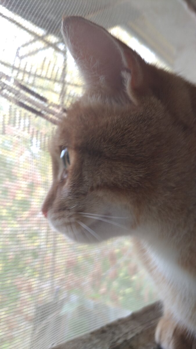 Личное фото