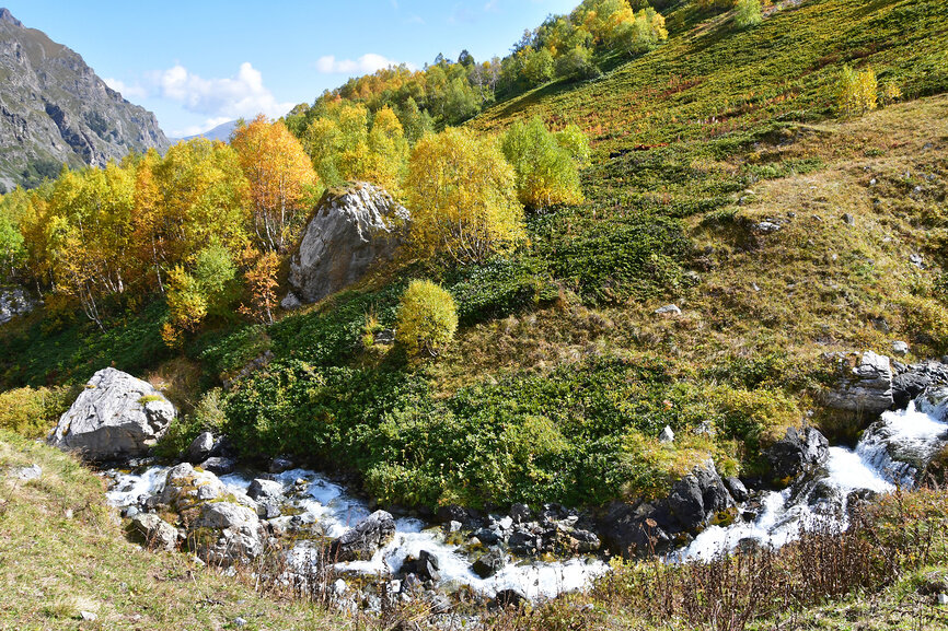 Россия, Архыз. Золотая осень в долине реки Кяфар-Агур © Овчинникова Ирина / Фотобанк Лори