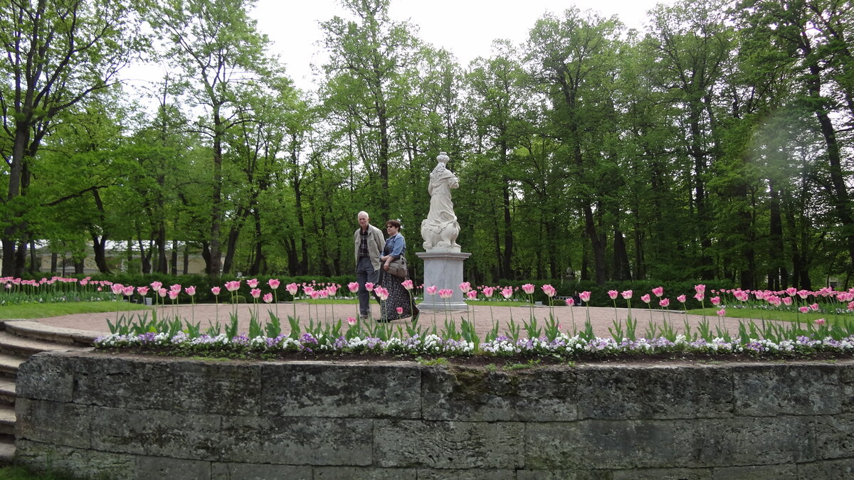 Павловский парк рядом с Павловским дворцом