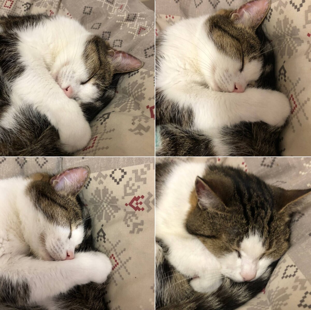 Фото делала Даша на свой телефон. 