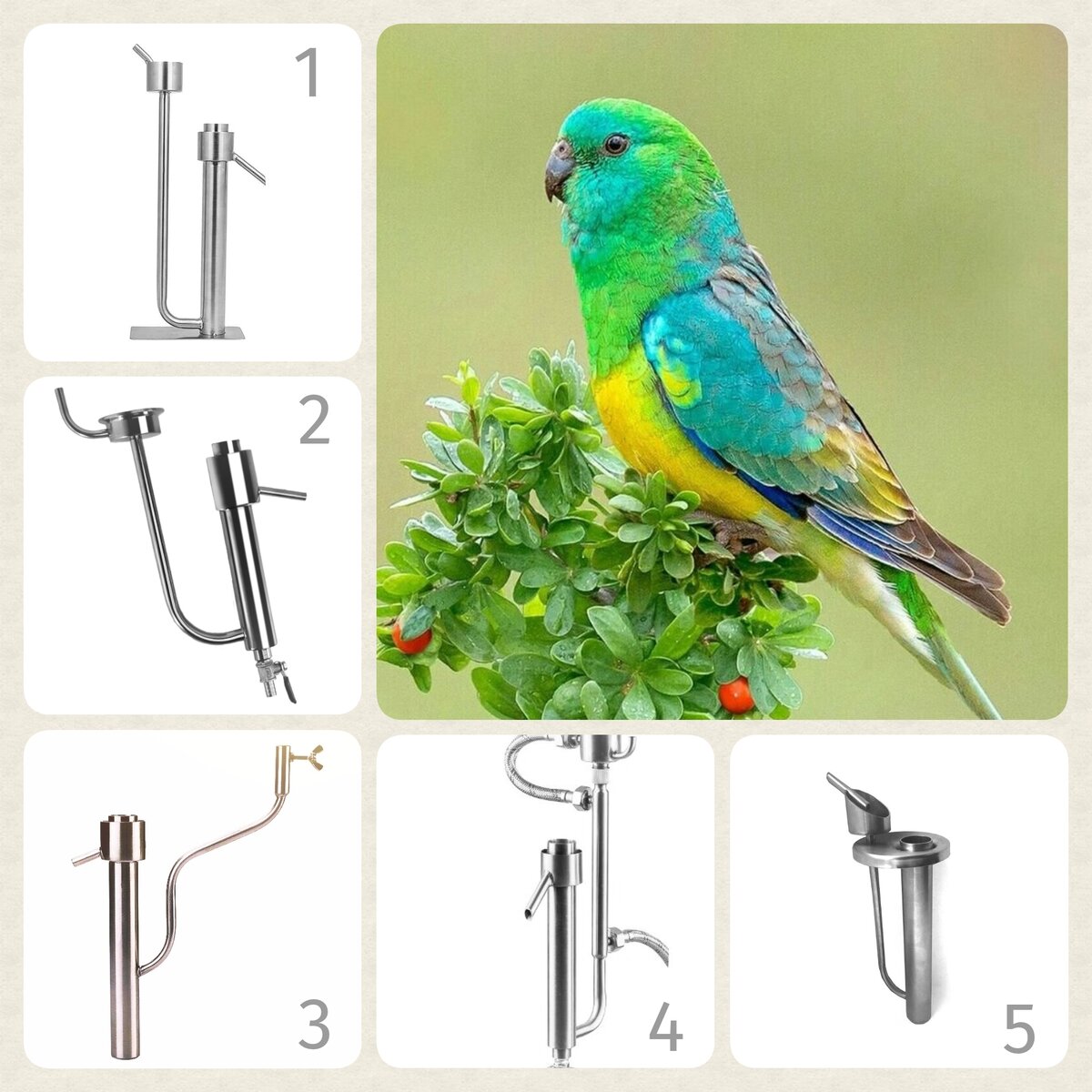 5 попугаев и есть ещё....