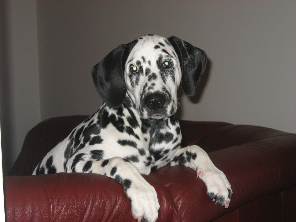 Фото из личного архива