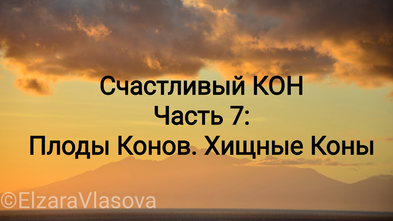 Честь на кону. Честь на кону