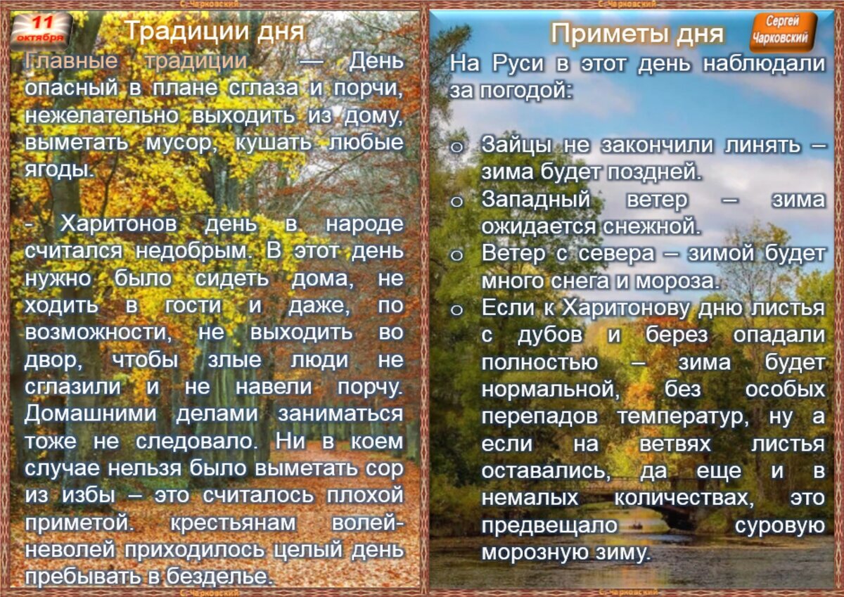 11 октября - Приметы, обычаи и ритуалы, традиции и поверья дня. Все  праздники дня во всех календарях. | Сергей Чарковский Все праздники | Дзен