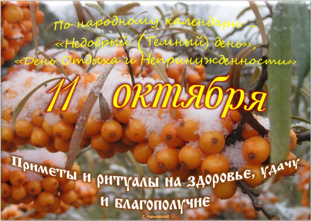 11 октября - Приметы, обычаи и ритуалы, традиции и поверья дня. Все  праздники дня во всех календарях. | Сергей Чарковский Все праздники | Дзен