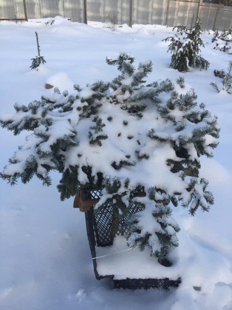 Начало зимы прошлого года. Просто нужны была картинка)))