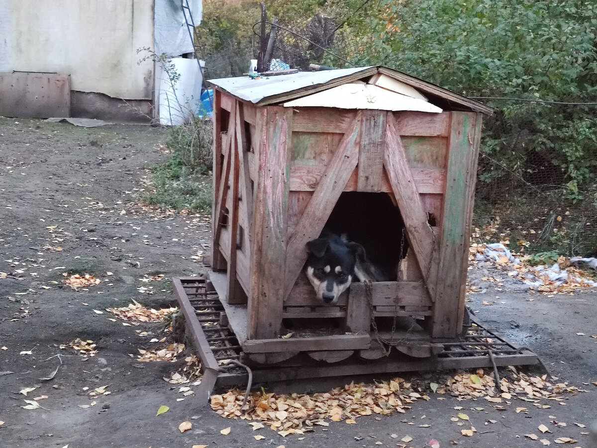 Малыш