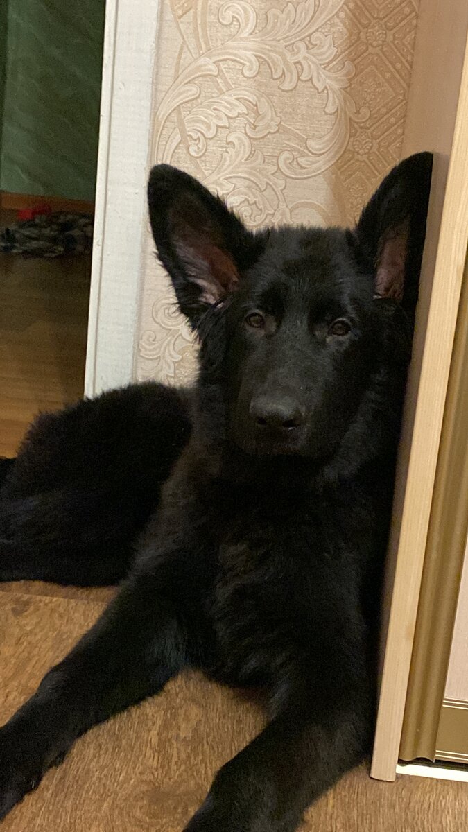 Оскар