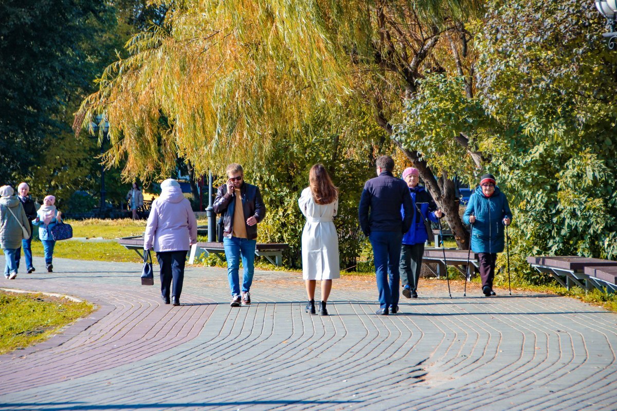    Власти: В Узбекистане откроют представительство Томской области