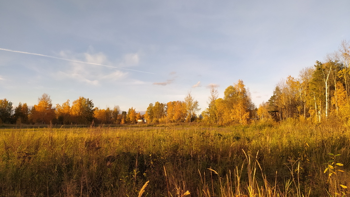 ФОТО: MAKSIM KONSTANTINOV/GLOBALLOOKPRESS