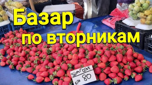 Летающие тарелки как смысл жизни