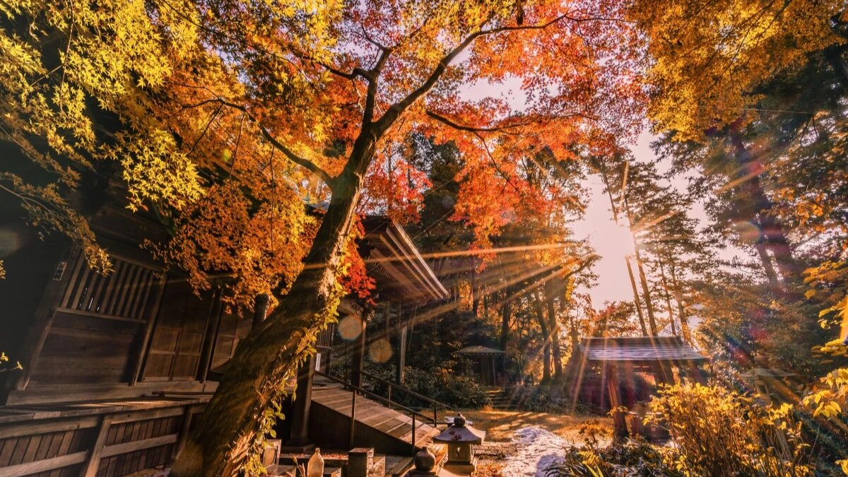 Фото: pxhere.com