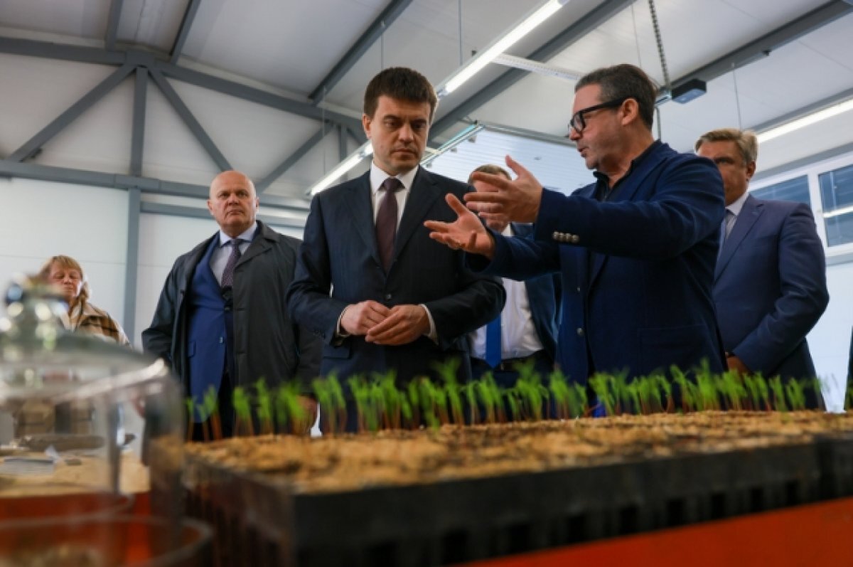    Губернатор Михаил Котюков оценил самый крупный в России лесной питомник