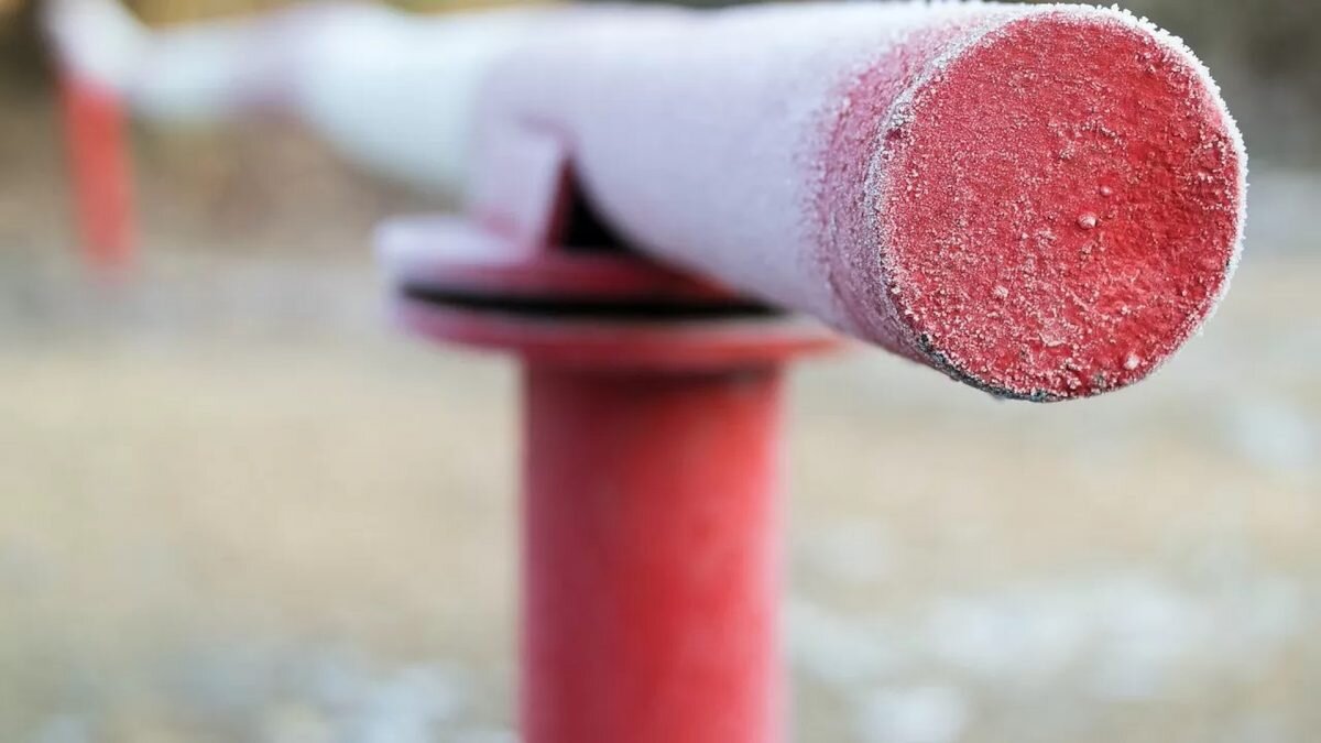    Фото: Pixabay Август Макаров