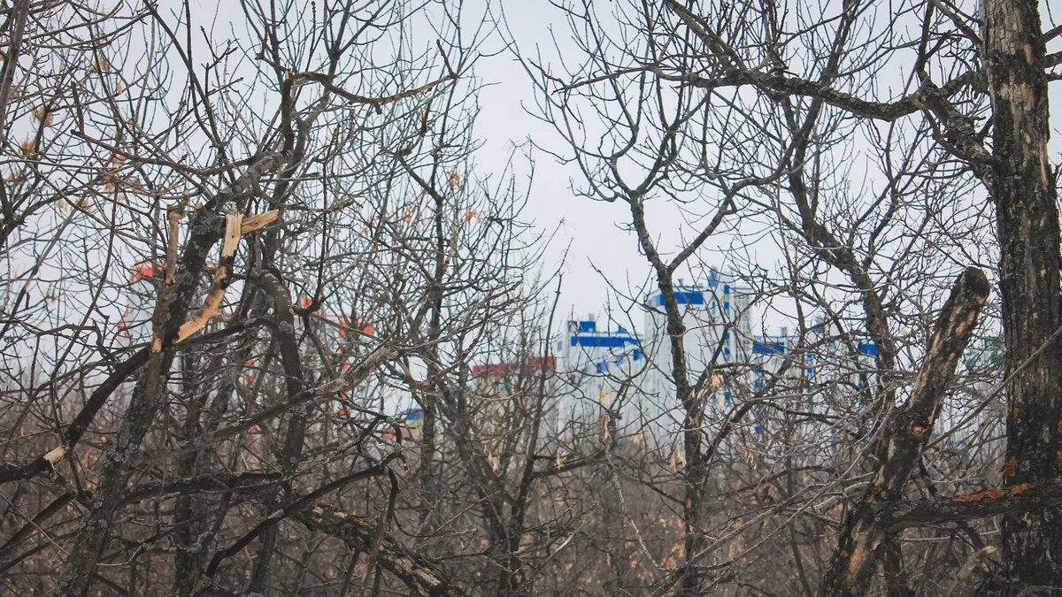     Солнечная погода и небольшие дожди ожидаются на этих выходных в Приморье. При этом средняя температура воздуха составит +18…+23 °C.