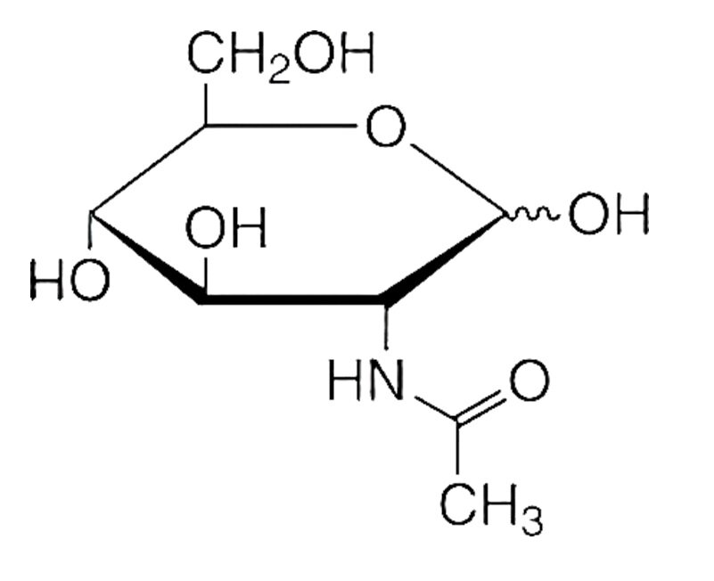 В состав какого олиго‑полисахарида НЕ входит это вещество? 