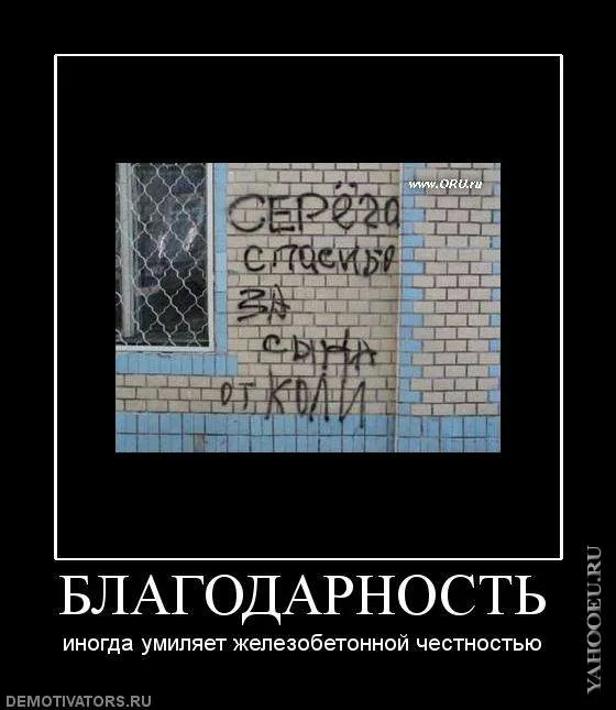 Не благодари. Благодарность прикол. Благодарность демотиватор. Шутки про благодарность. Благодарность приколо.