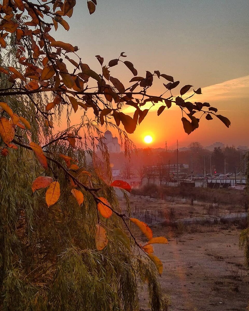 доброе утро россия красивые виды осень фото