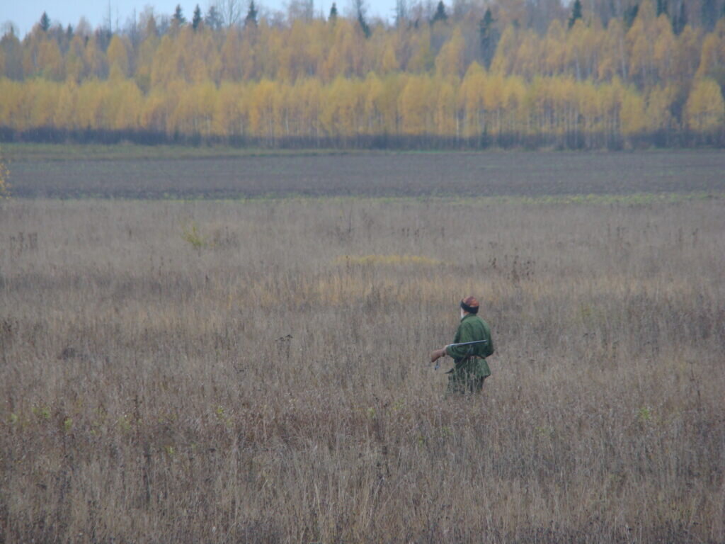    Анастасия Петрова