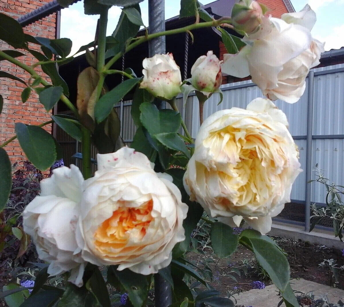 фото Татьяны