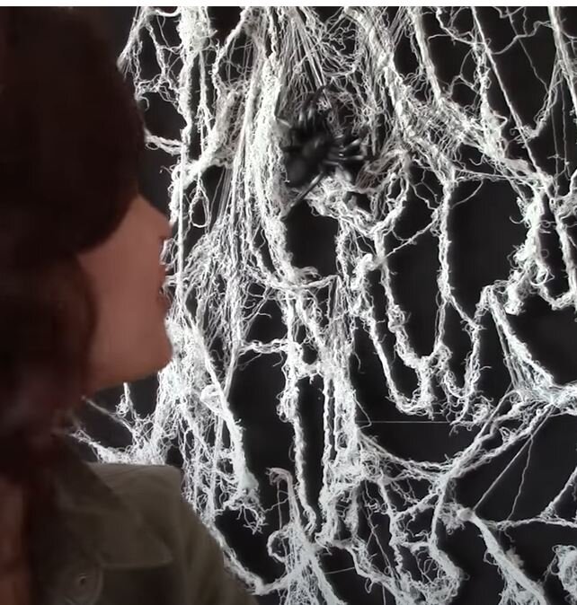    Паутина своими руками   
Источник: Скриншот из видео