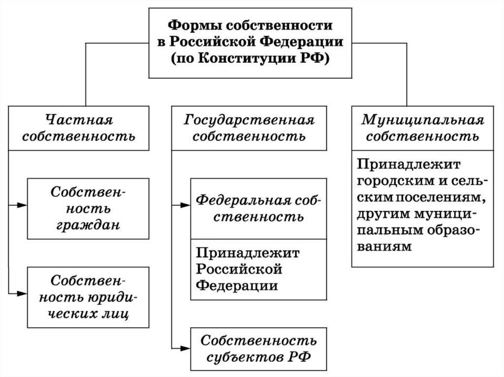 Три формы собственности в рф с примерами