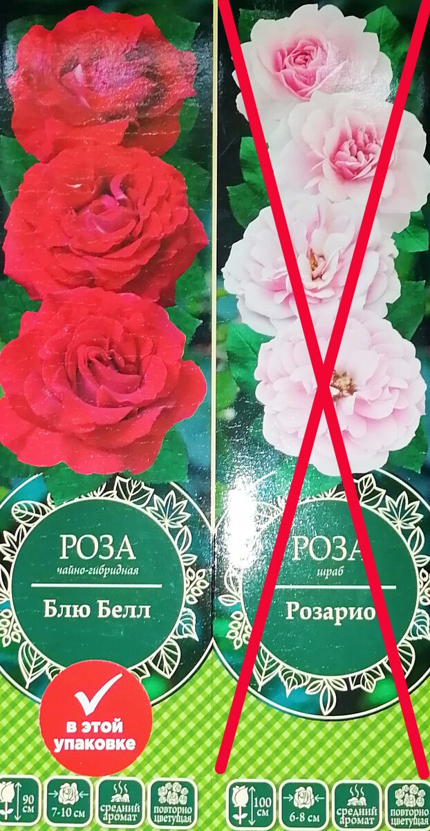 Упаковка розы Блю Белл