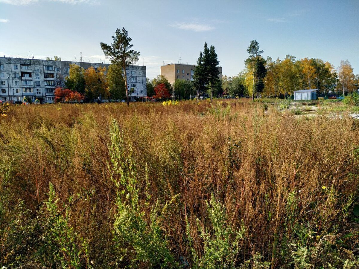 Поселок смолино челябинск фото. Поселок Смолино. Посёлок Смолино Челябинск. Заросший пустырь. Строимся на пустыре.