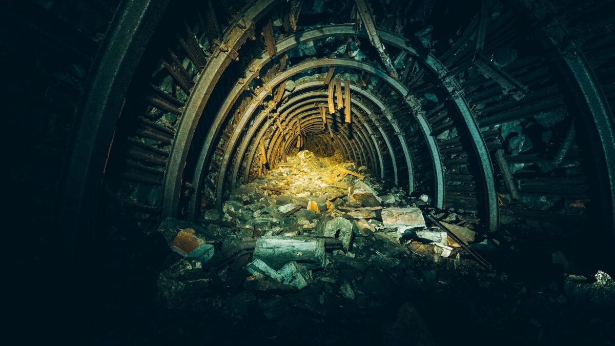    Фото: Unsplash Август Макаров