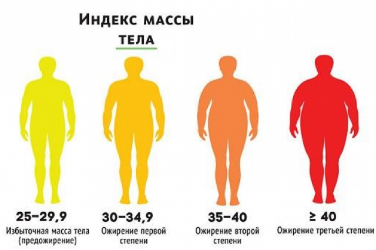 Избыточная масса тела. Предожирение у мужчин. Зоны ожирения. График увеличения ожирения детей. Что такое ожирение 1 степени