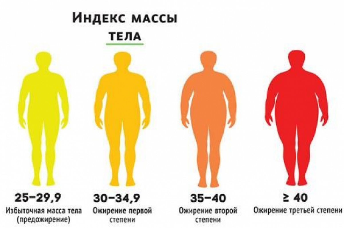 Степени ожирения. Ожирение по степеням. Предожирение ИМТ. Избыточная масса тела (предожирение).