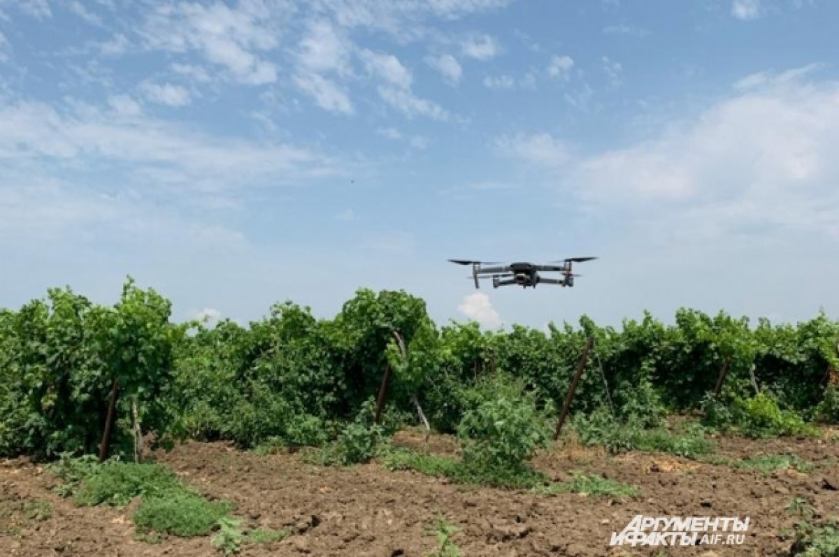    Дрон томской компании впервые провел самостоятельную инвентаризацию