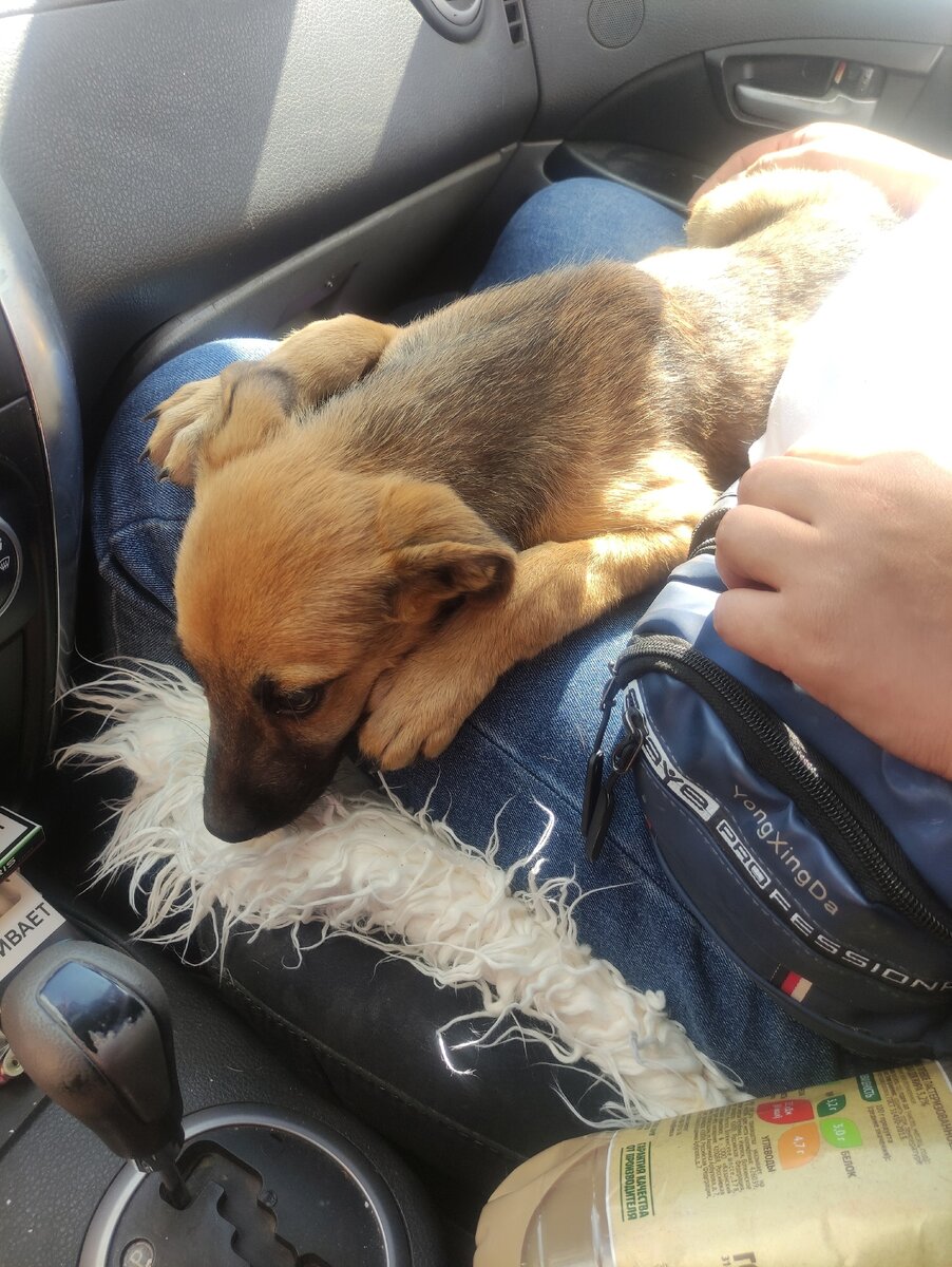 только поймали