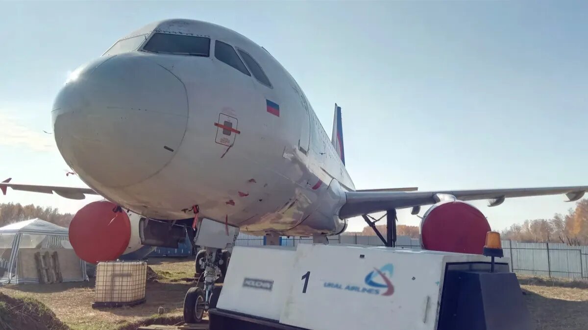 Airbus A320 «Уральских авиалиний» на пшеничном поле в Московке Убинского района Новосибирской области. Фото: Курьер.Среда