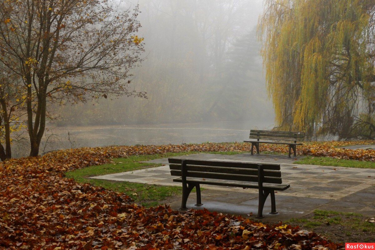 Фото из открытого источника