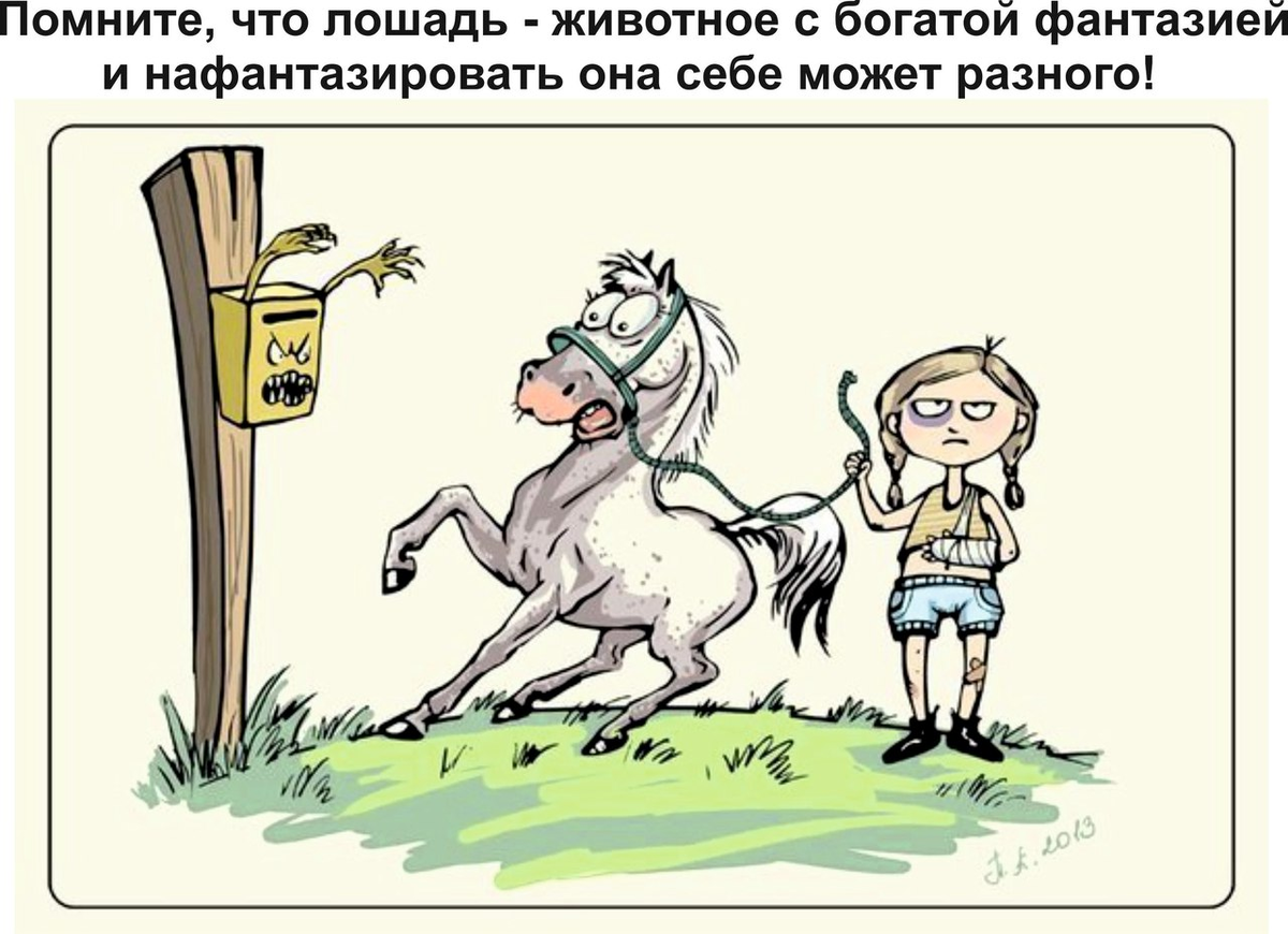 Источник изображения: https://bubbleboom.ru/prikolnij-otkritki-s-loshadmi