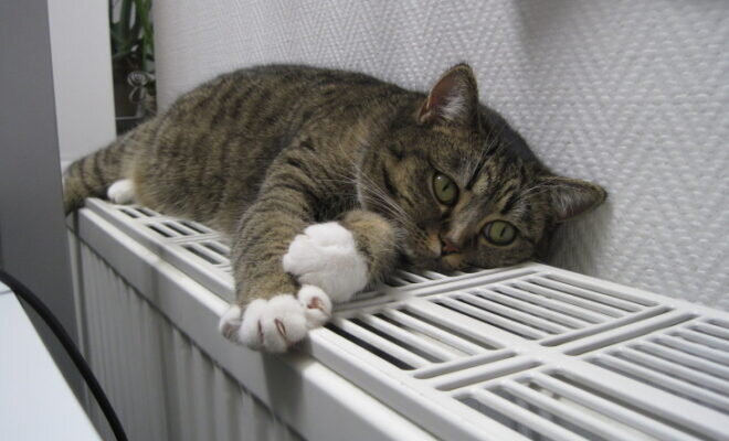    Фото: Pressa40.ru Николай Кузин