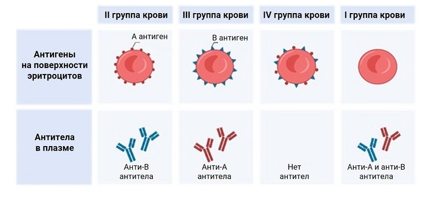 Всош 2023 2024 баллы