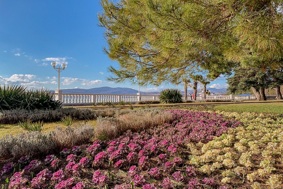    «Геленджик Арену» могут открыть в первом квартале 2024 года