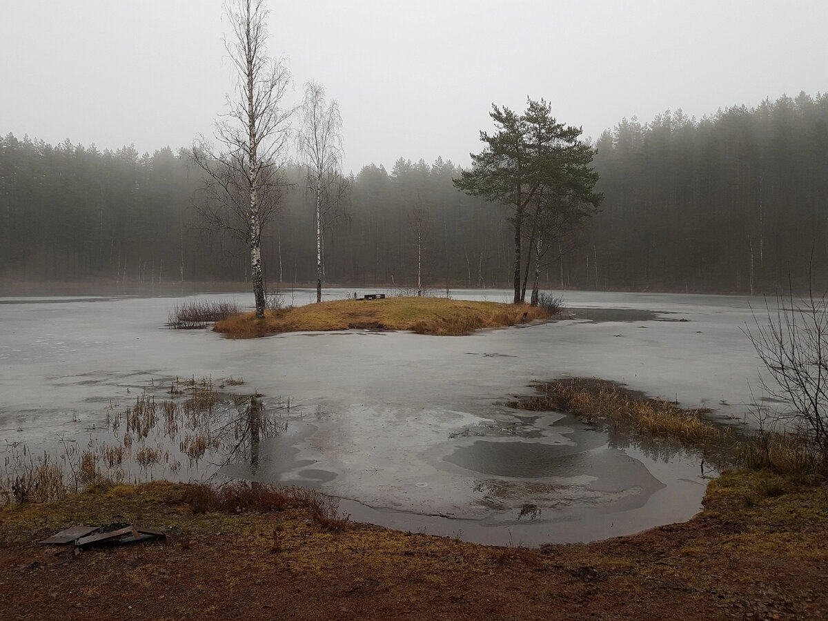 Поздняя, мрачная, загадочная, прекрасная осень в Семиозерье