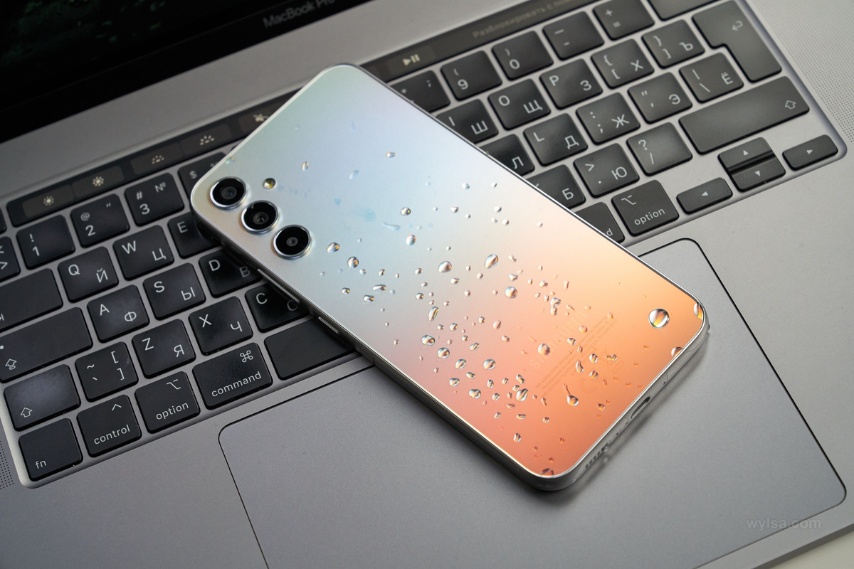 Источник: wylsa.com