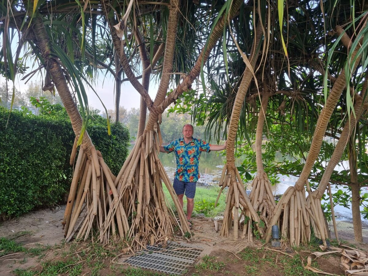 Хитросплетения мыслей, нейронные связи