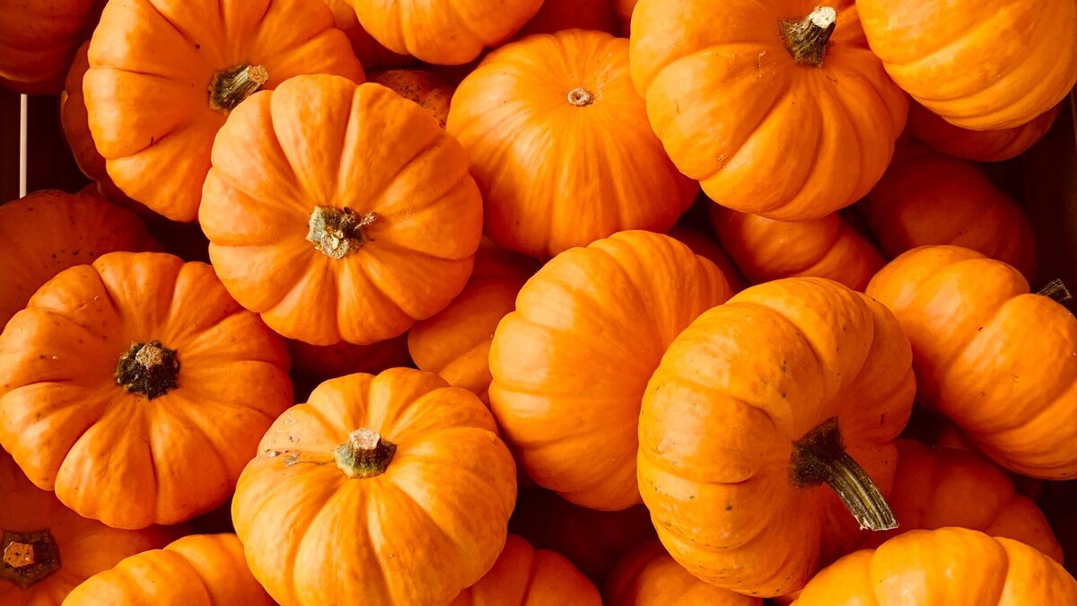    Куда убрать тыкву на хранение, чтобы не сгнила? Советует технолог© Unsplash / Каралина С