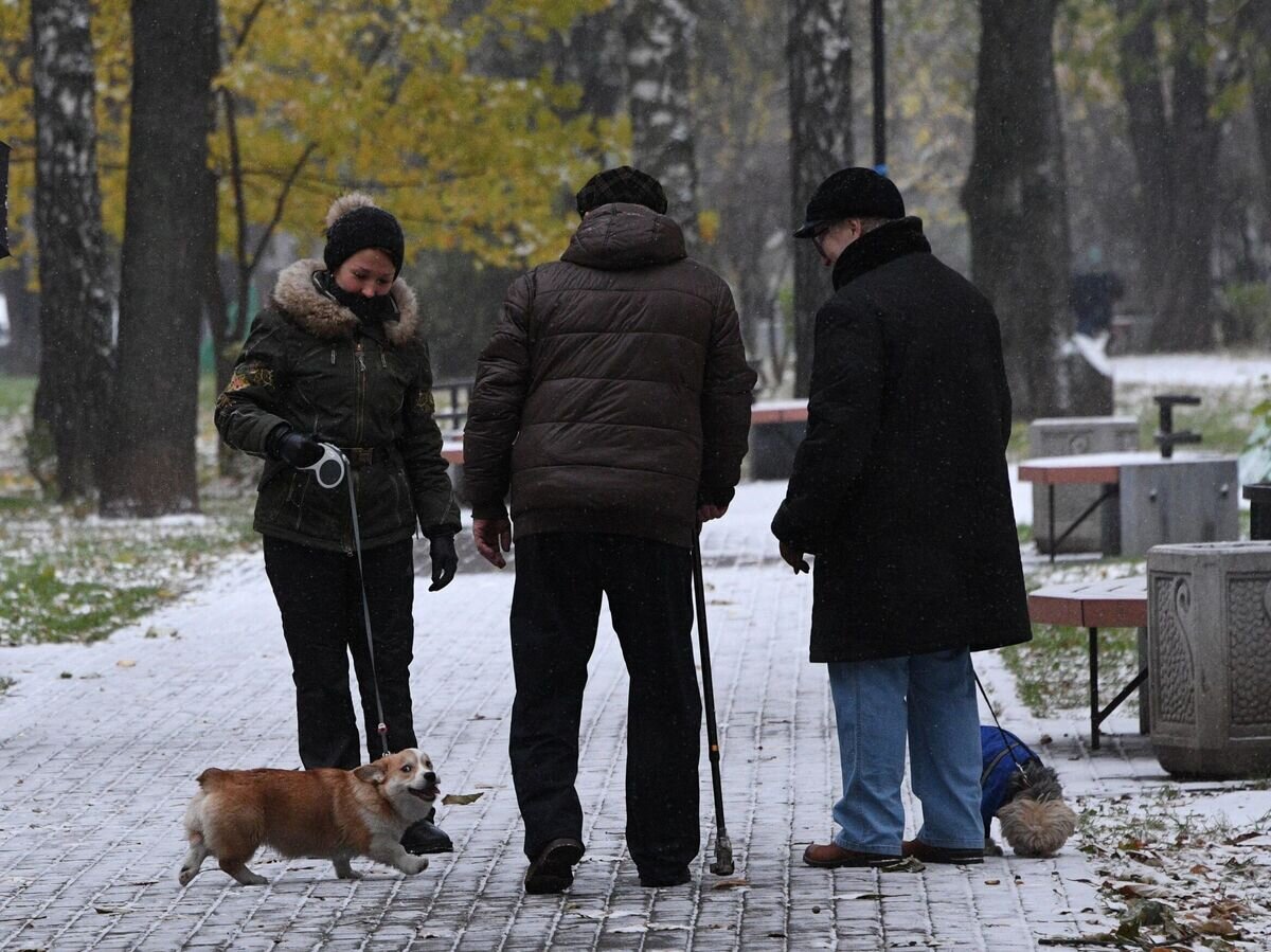    Люди выгуливают собак в одном из парков в Москве© РИА Новости / Владимир Федоренко