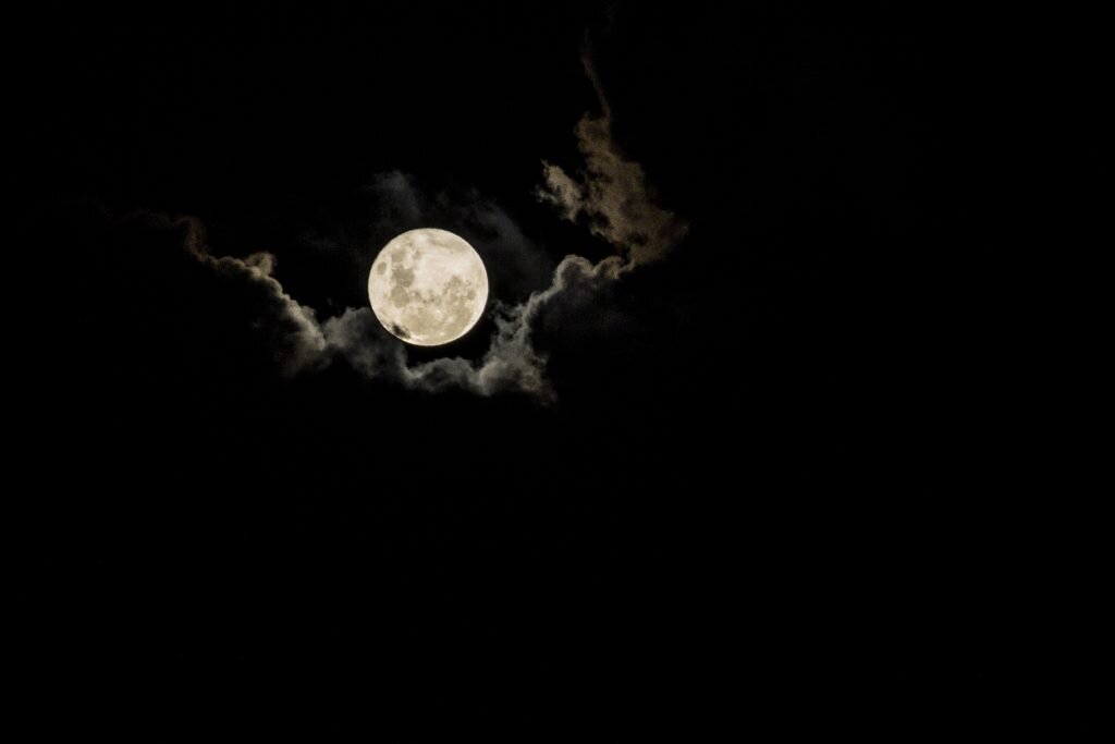    Фото: freepik.com writ4
