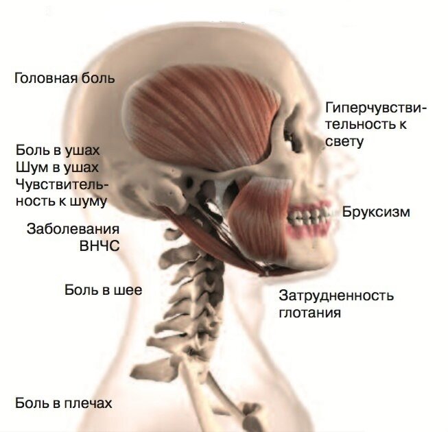 Связки шеи и головы